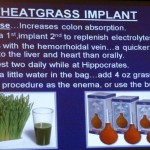 Wheatgrass Implant Wheatgrass Implant