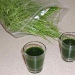Wheatgrass and Shot Glasses Wheatgrass and Shot Glasses